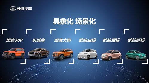 傅小康談長(zhǎng)城汽車(chē)品牌增肌 一場(chǎng)由內(nèi)而外的自我革命
